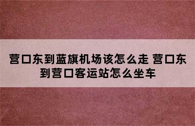 营口东到蓝旗机场该怎么走 营口东到营口客运站怎么坐车